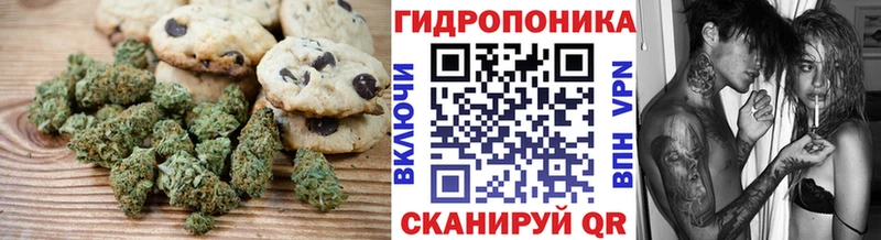 Cannafood марихуана  Бабаево 