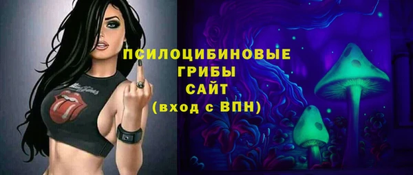 гидра Аркадак