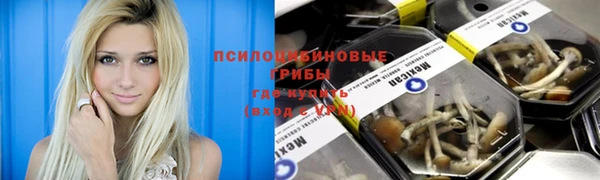 гидра Аркадак