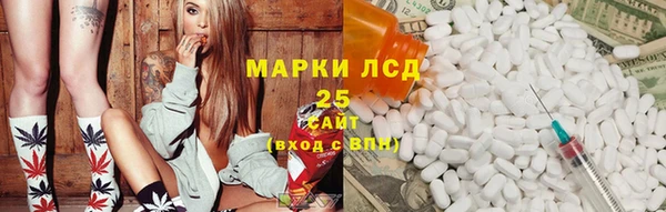 гидра Аркадак