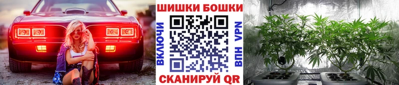 купить  цена  Бабаево  Шишки марихуана ГИДРОПОН 